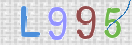 Картинка CAPTCHA