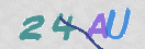 Картинка CAPTCHA