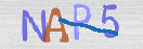 Картинка CAPTCHA