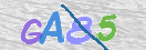 Картинка CAPTCHA