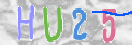 Картинка CAPTCHA