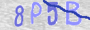 Картинка CAPTCHA