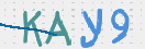 Картинка CAPTCHA