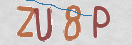 Картинка CAPTCHA