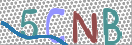 Картинка CAPTCHA