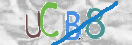 Картинка CAPTCHA