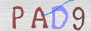 Картинка CAPTCHA