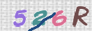 Картинка CAPTCHA