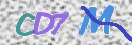 Картинка CAPTCHA
