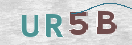 Картинка CAPTCHA