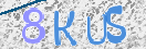 Картинка CAPTCHA