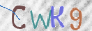 Картинка CAPTCHA