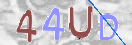Картинка CAPTCHA