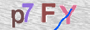 Картинка CAPTCHA