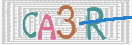 Картинка CAPTCHA