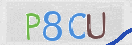 Картинка CAPTCHA