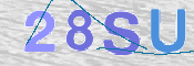 Картинка CAPTCHA