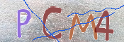 Картинка CAPTCHA