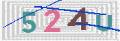 Картинка CAPTCHA