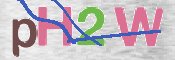 Картинка CAPTCHA
