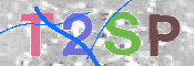 Картинка CAPTCHA