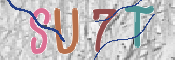 Картинка CAPTCHA