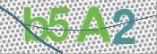 Картинка CAPTCHA