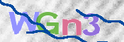 Картинка CAPTCHA