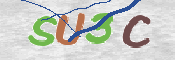 Картинка CAPTCHA
