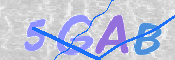 Картинка CAPTCHA