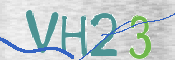 Картинка CAPTCHA