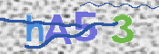 Картинка CAPTCHA
