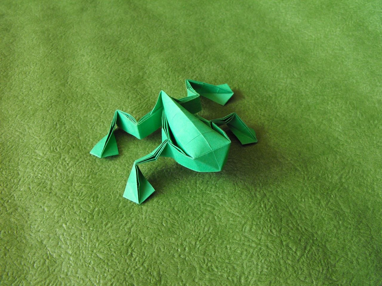 Origami camp only fans